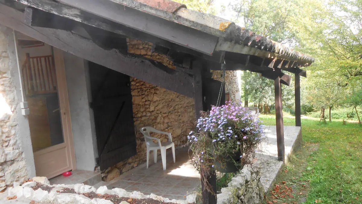 tournonzen_prunier (4)