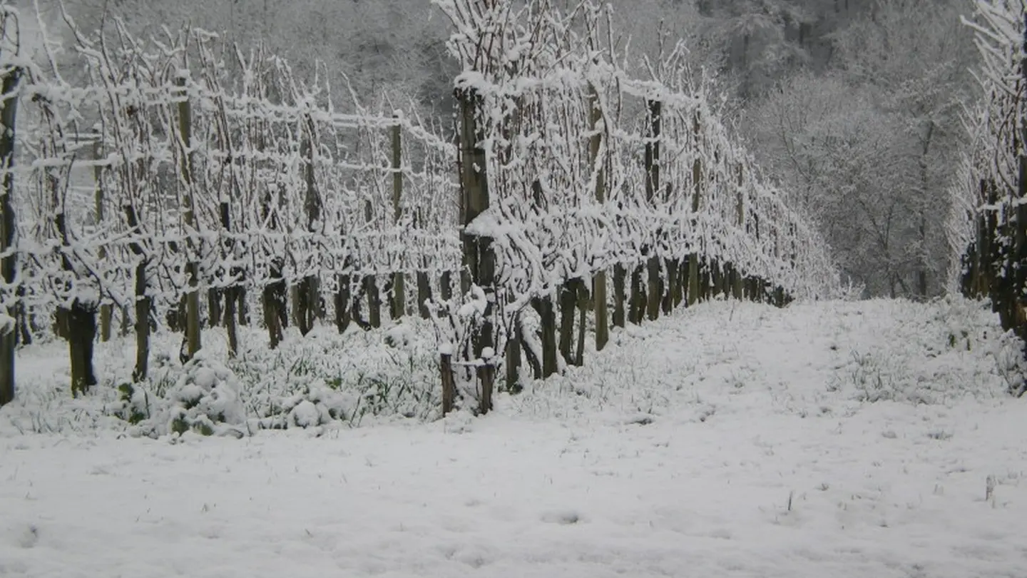 Clos Thou - Chapelle de Rousse - sous la neige