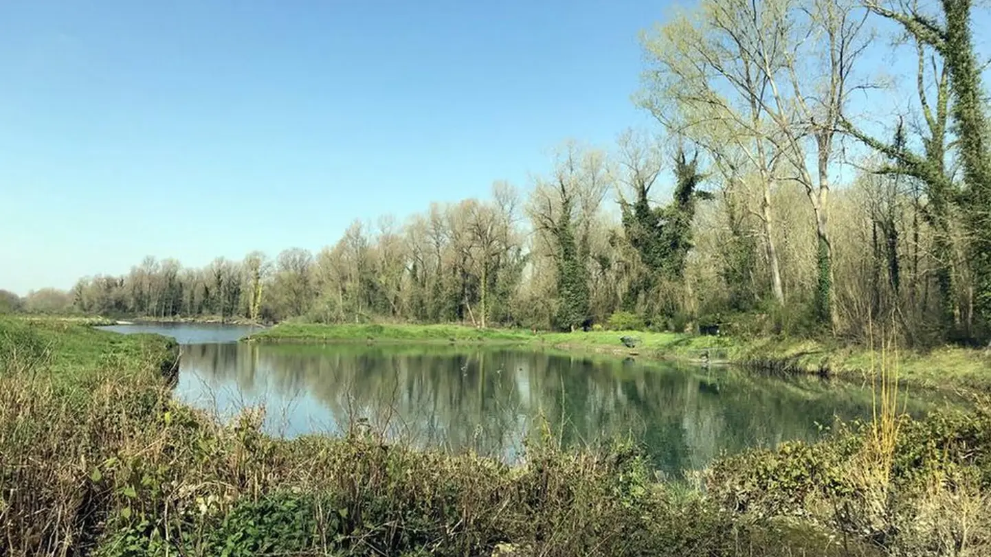 Laroin- le gave sous le pont