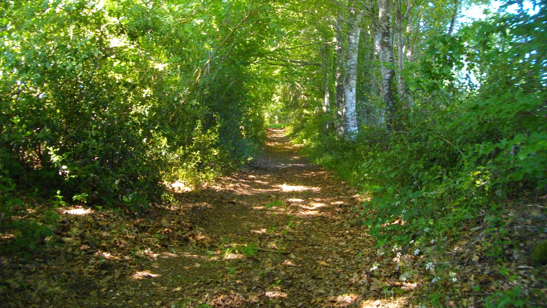 vuegenerale_Sornac_VTT49_HCC_GSalat