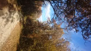 A sentierboucledefossemagne