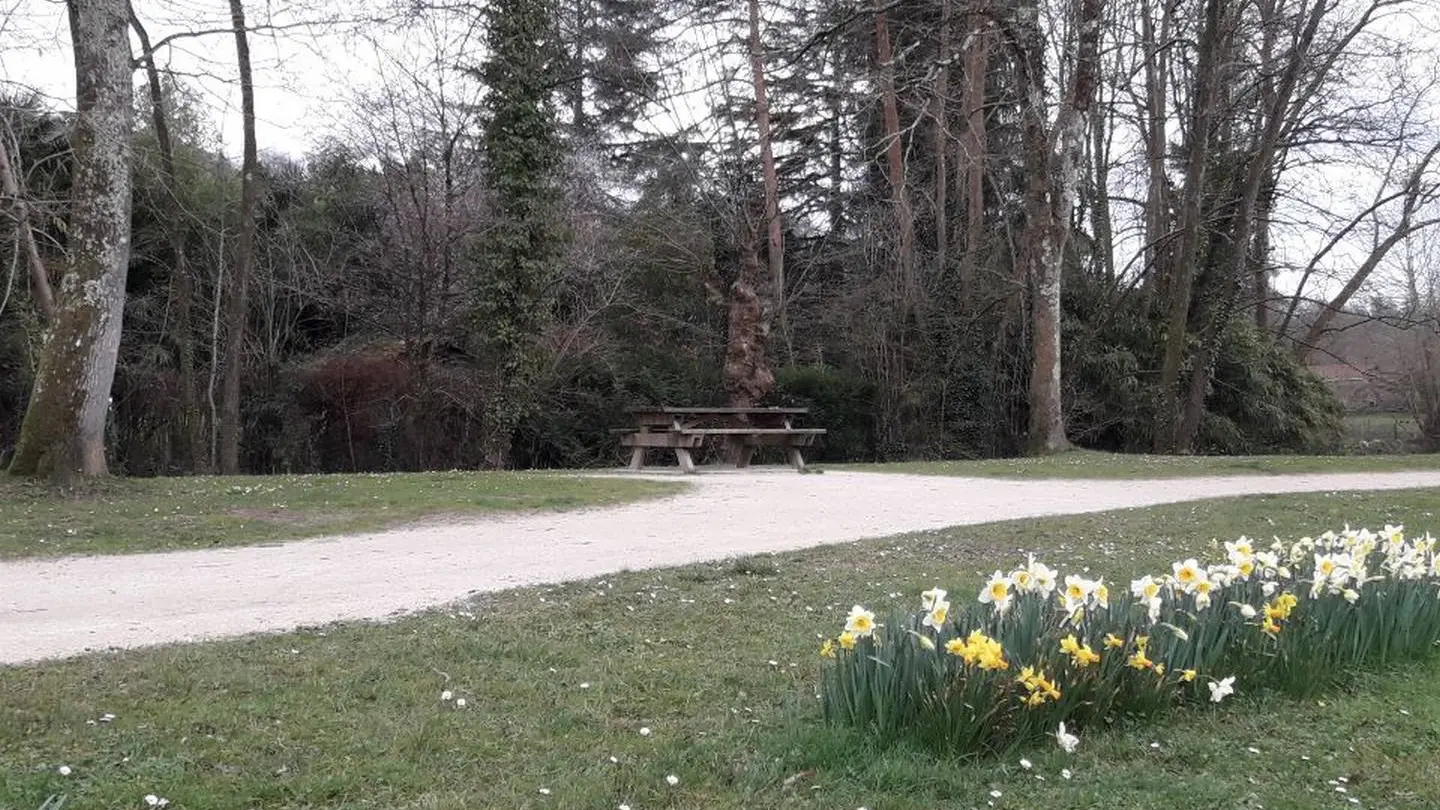 Aire de pique-nique - Gan - île du neez 3