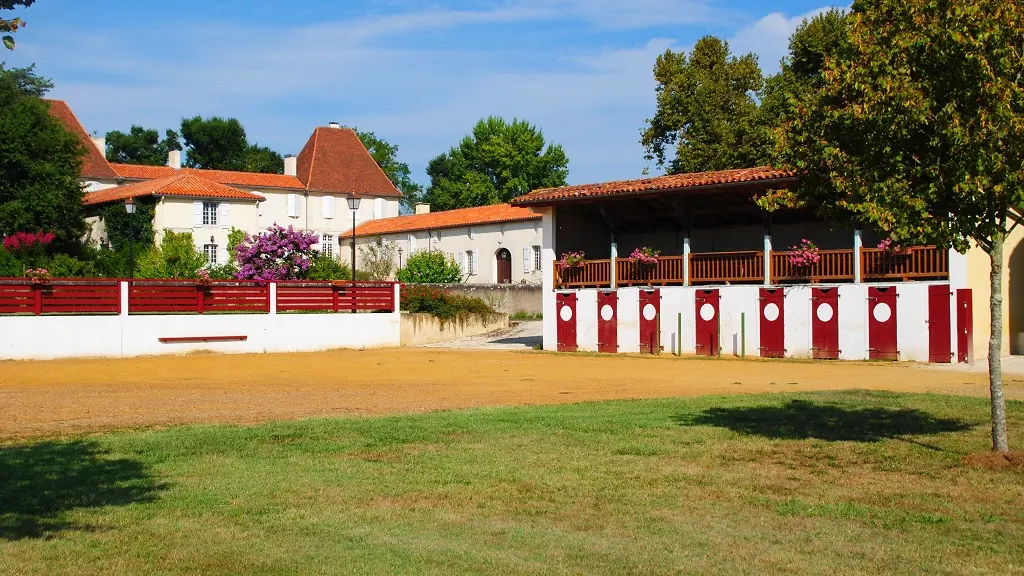 Arènes et chateau de Caupenne