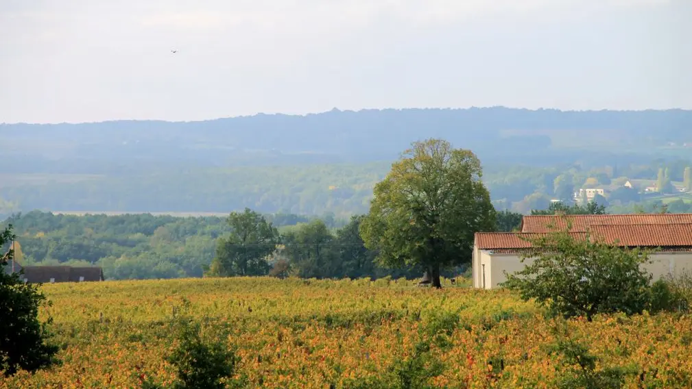 Autour de Monbazillac_Château Haut Bernasse (65)_2