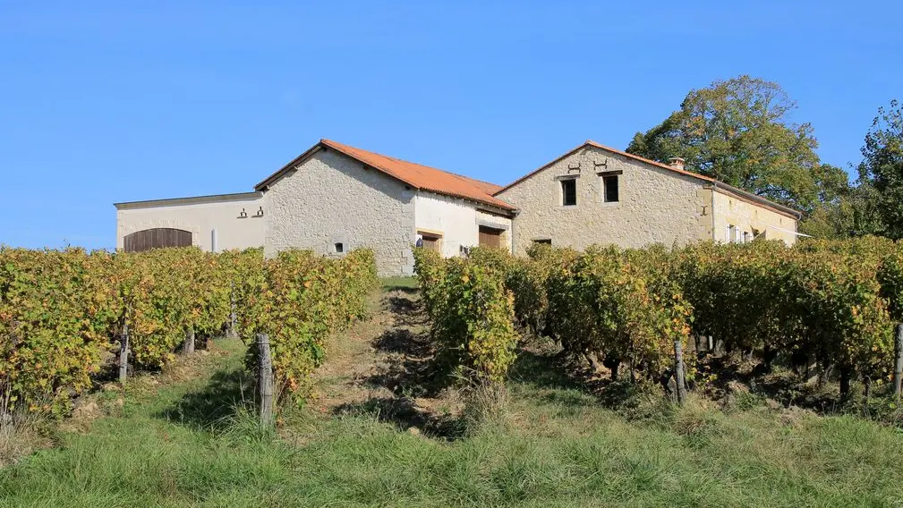 Autour de Monbazillac_Château Haut Bernasse (2)_2