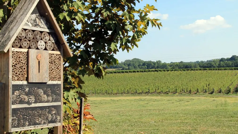 Autour de Monbazillac_Château La Rayre (18)_2