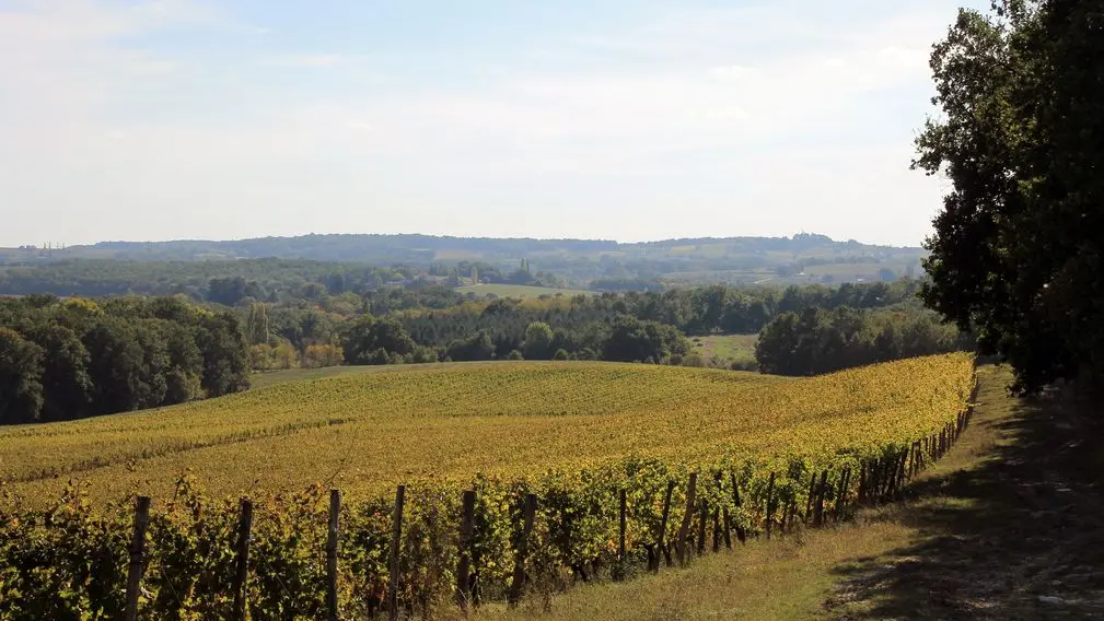 Autour de Monbazillac_Château Montdoyen (49)_2