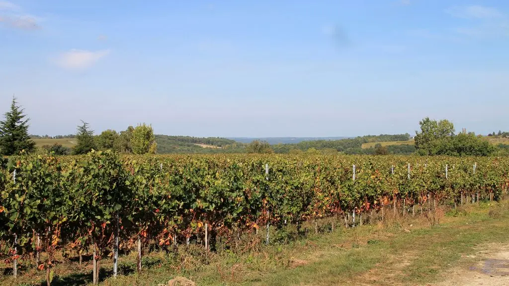 Autour de Monbazillac_Château Moulin Pouzy (52)_2