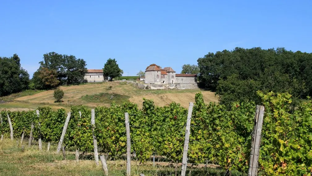 Autour de Monbazillac_Château Thenoux (66)_2