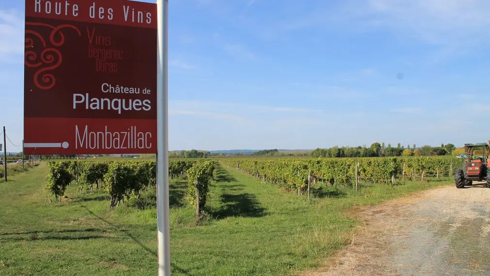 Autour de Monbazillac_Château de Planques (13)