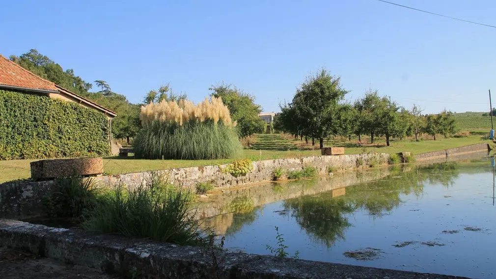 Autour de Monbazillac_Château de Planques (5)