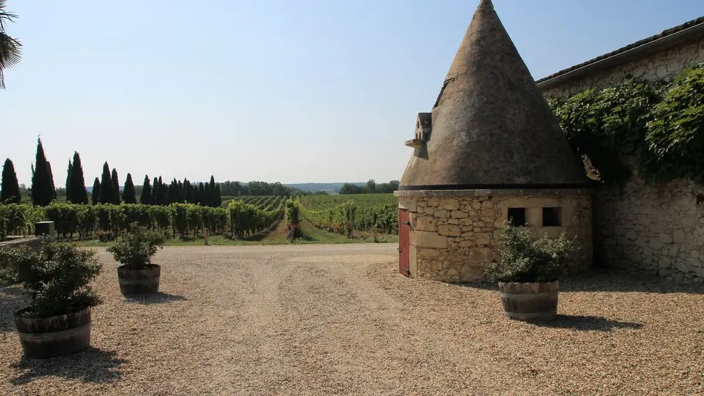 Autour de Monbazillac_Château la Jaubertie (27)_2