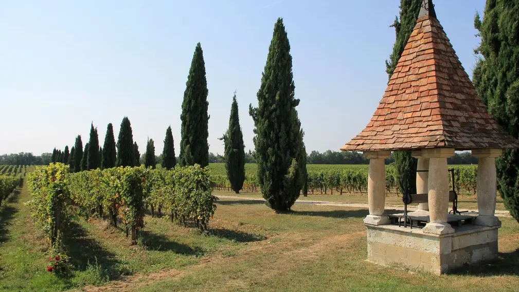 Autour de Monbazillac_Château la Jaubertie (44)_2