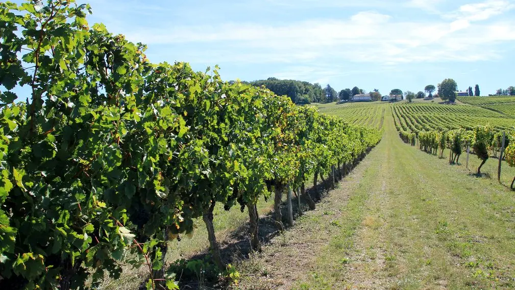 Autour de Monbazillac_Château le Fagé (76)_2