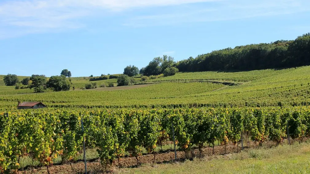 Autour de Monbazillac_Château le Fagé (78)_2