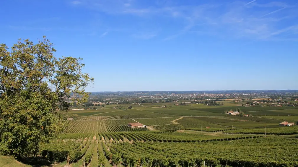 Autour de Monbazillac_Château le Fagé (1)_2