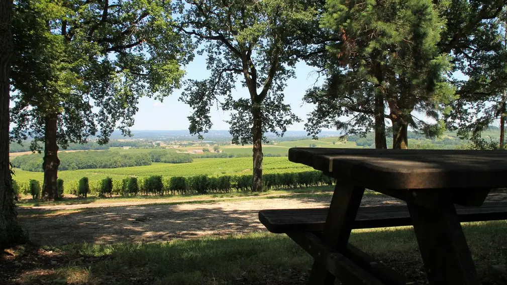 Autour de Monbazillac-Domaine de Montlong (1)_2