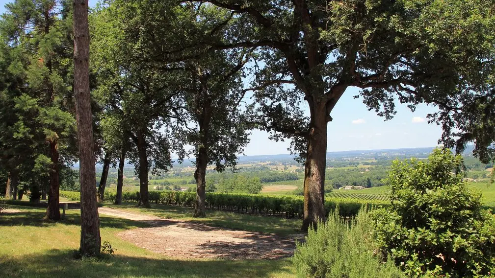 Autour de Monbazillac-Domaine de Montlong (19)_2_espace camping-car