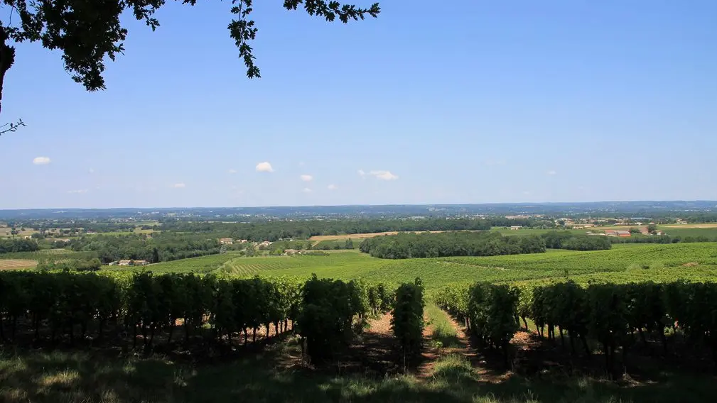 Autour de Monbazillac-Domaine de Montlong (6)_2