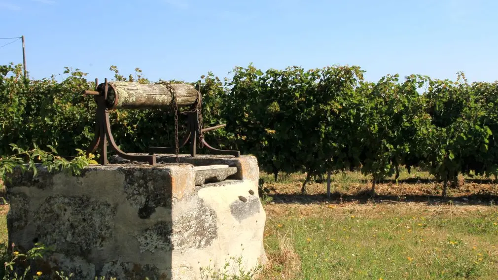 Autour de Saussignac_Château Les Ganfards (12)_2