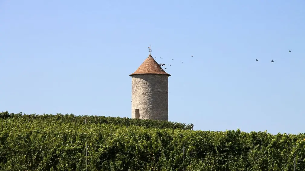 Autour de Saussignac_Château Panisseau (2)_2