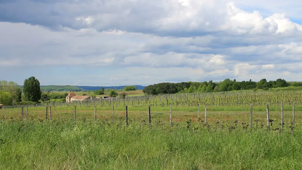 Autour de Saussignac_Clos d'Orsignac (1)_2