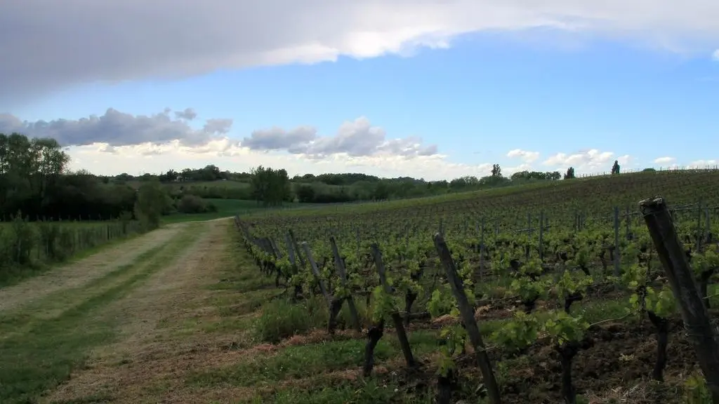 Autour de Vélines_ Domaine de Jolis Bois (2)_2