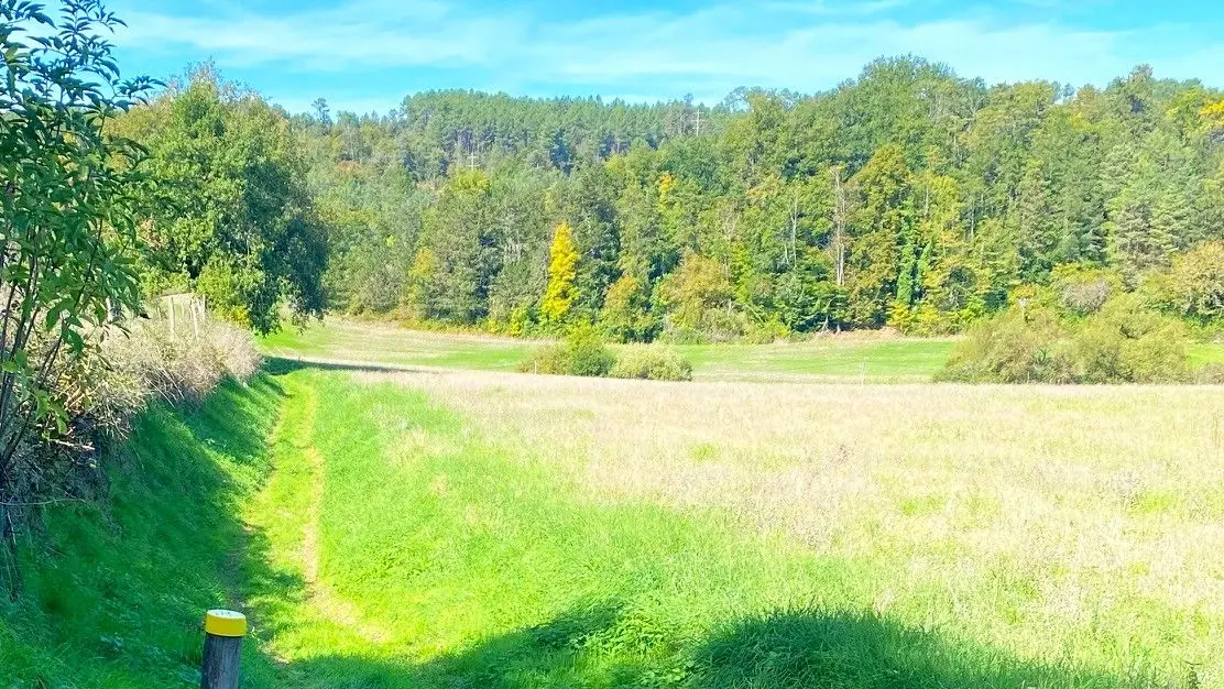 BIRAS-Boucle de Biras-Chemin-Poteau 2
