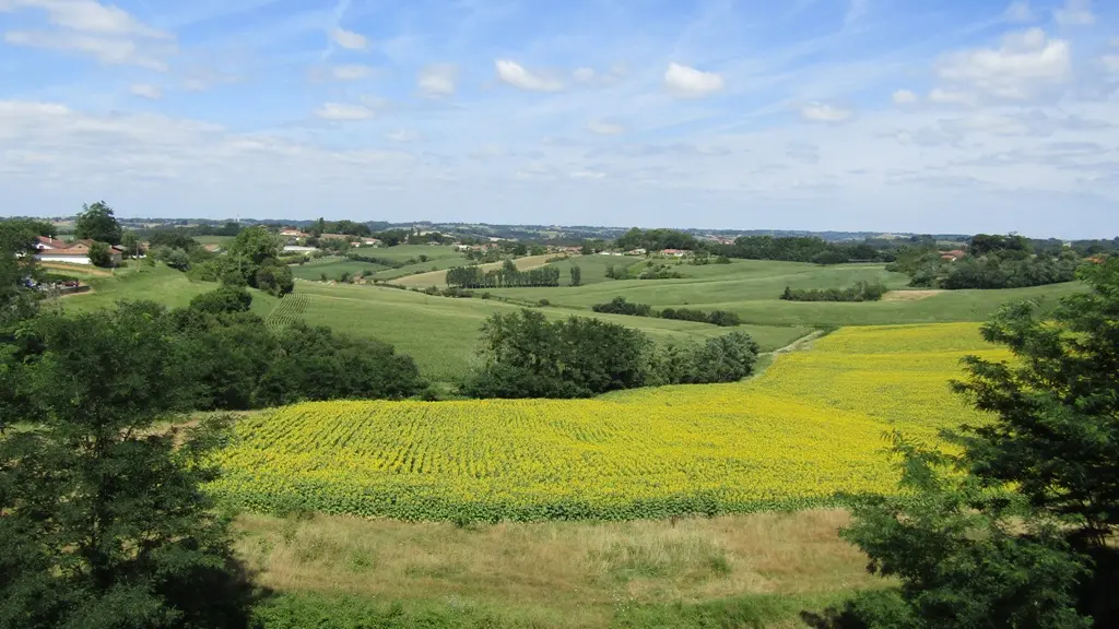 Point de vue belvédère - Bastide de Montfort-en-Chalosse