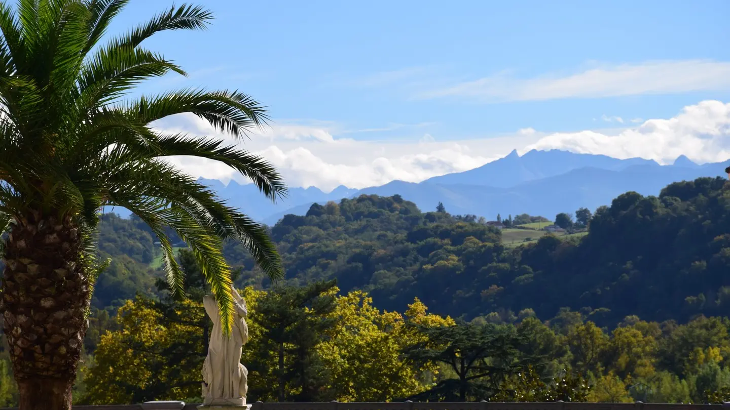 Boulevard des Pyrénées - Pau - Palmiers