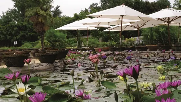 cclt_res_lemarliacea_côtébassin