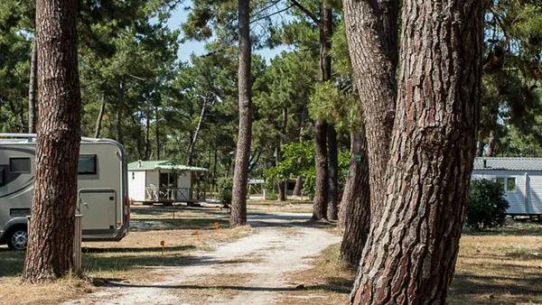 Camping Municipal de l'Océan4