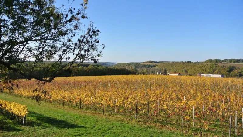 Château Cluzeau (2)