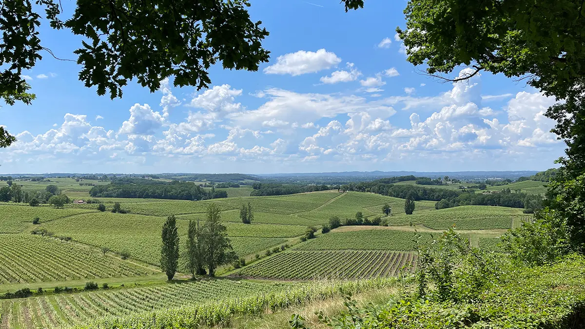 Château de Belingard 2