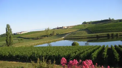 Chai & cabanelle - Château Pique-Sègue