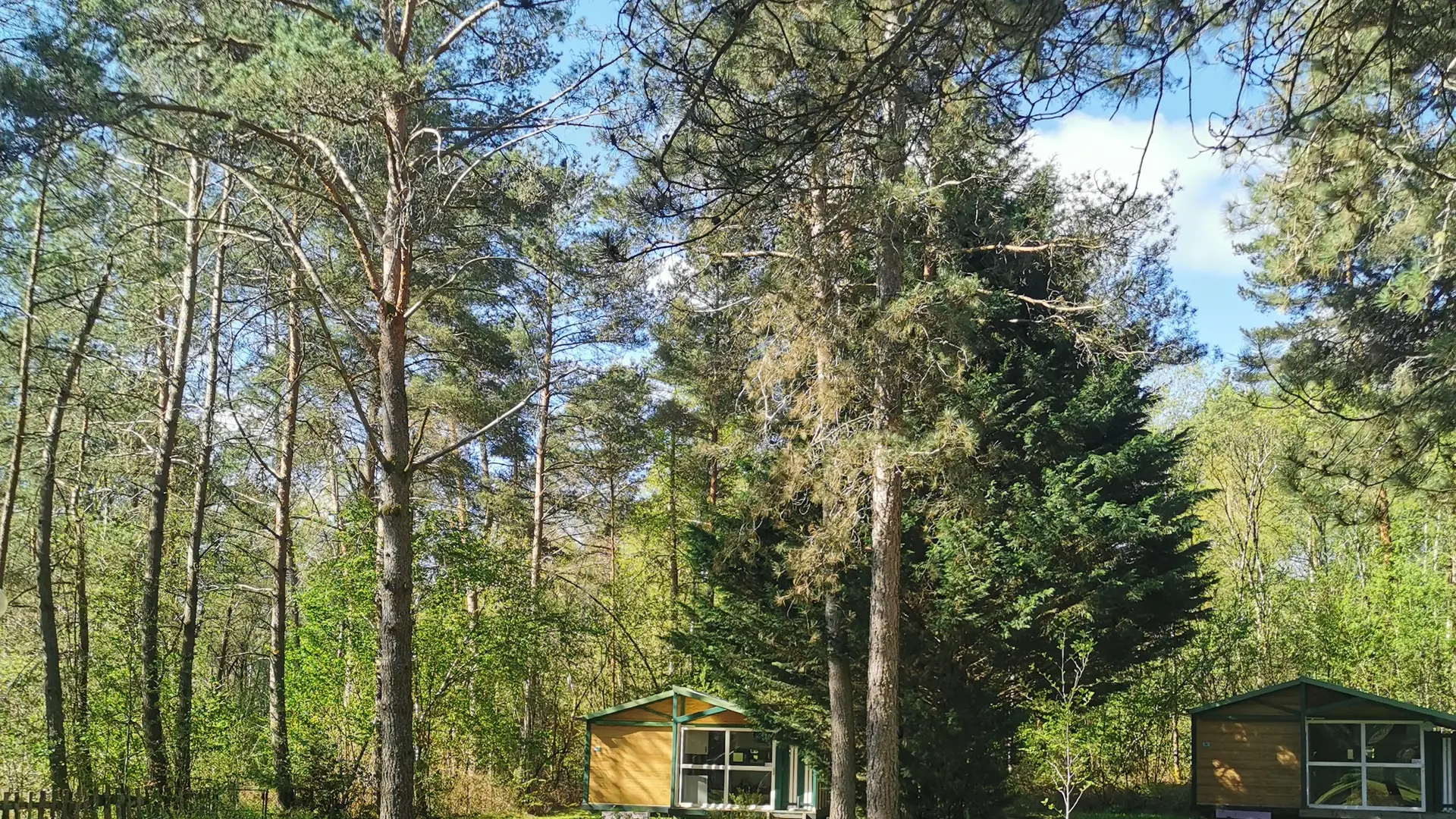 Chalets camping nature préservée