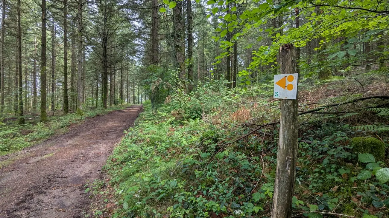 Chemin - La Turgotière VTT - Lacelle ©M Clavaud (1)