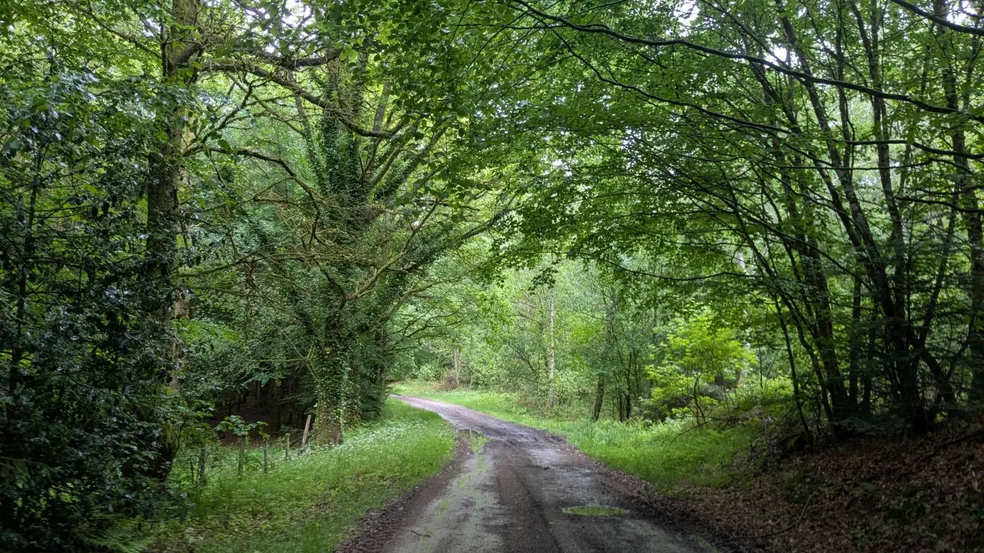 Chemin - La Turgotière VTT - Lacelle ©M Clavaud (9)