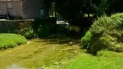 Colylepech1