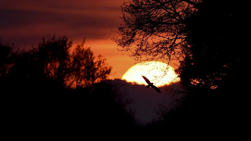 Coucher de soleil