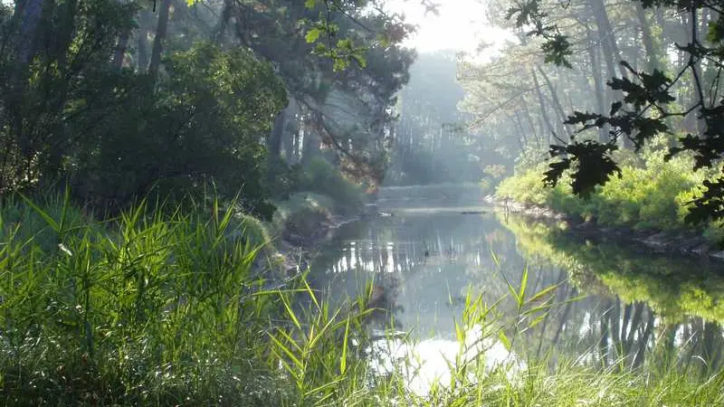 Couloirs d'eau verdoyants et illuminés