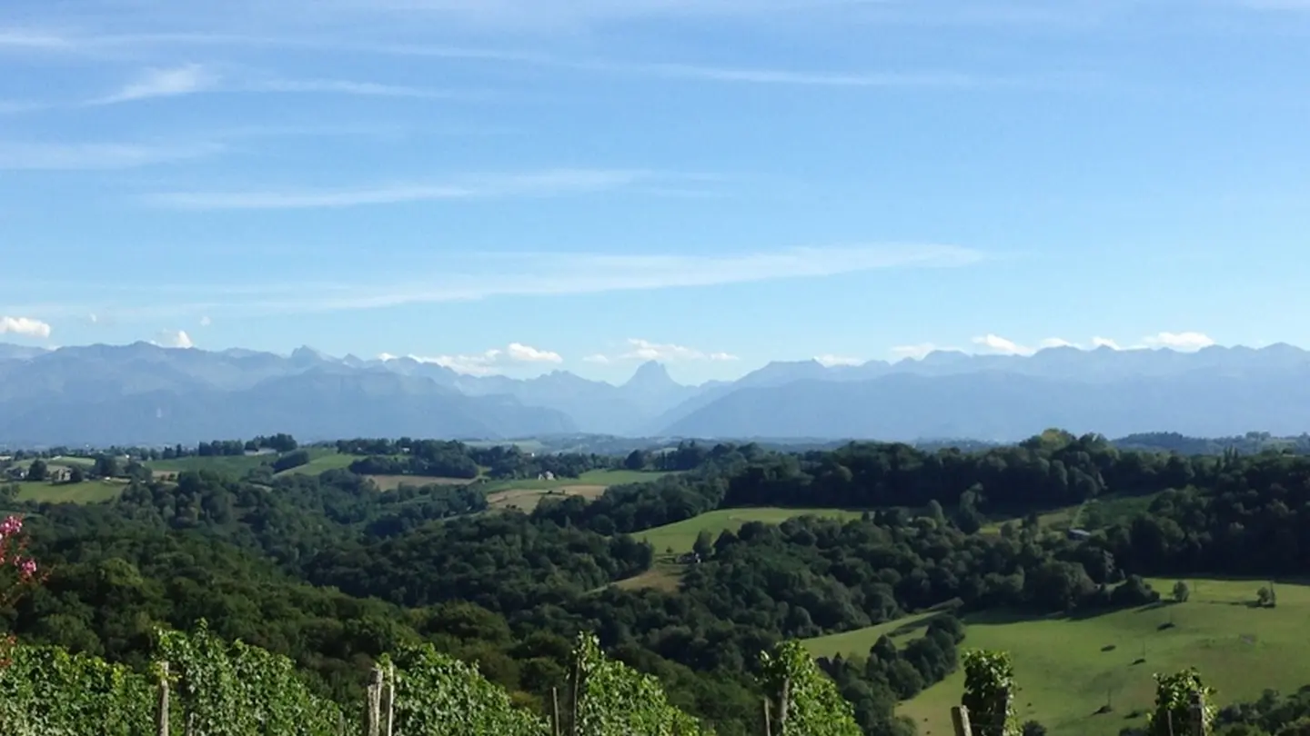 Clos Mirabel - Jurançon - conciergerie vue