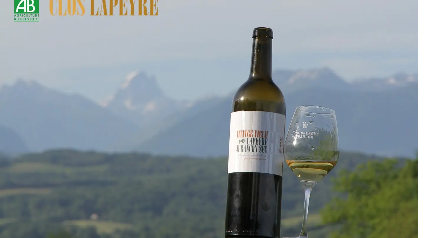 Clos Lapeyre - vins de Jurançon - oenotourisme - Vallée d'Ossau - santat