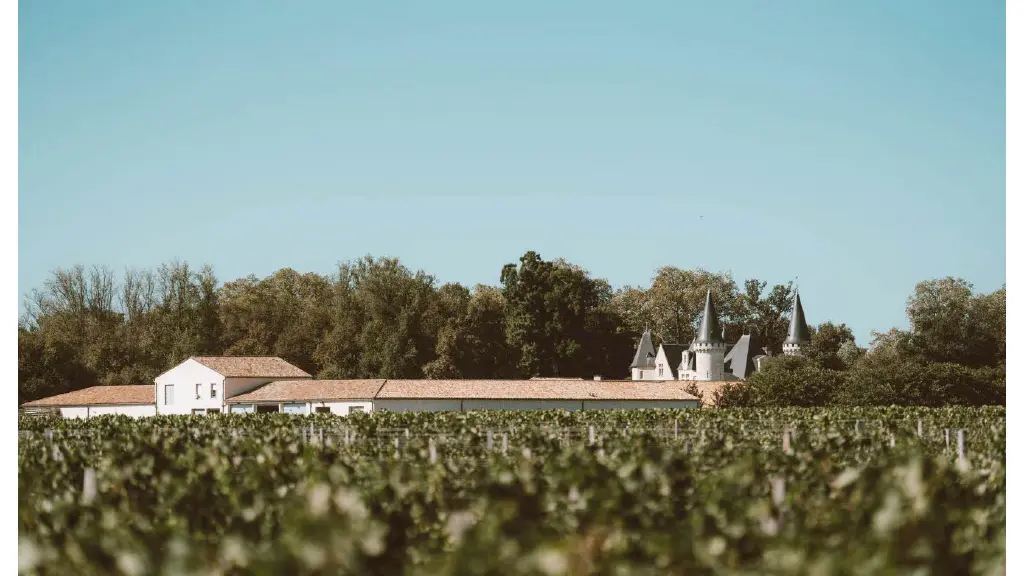 Vignoble