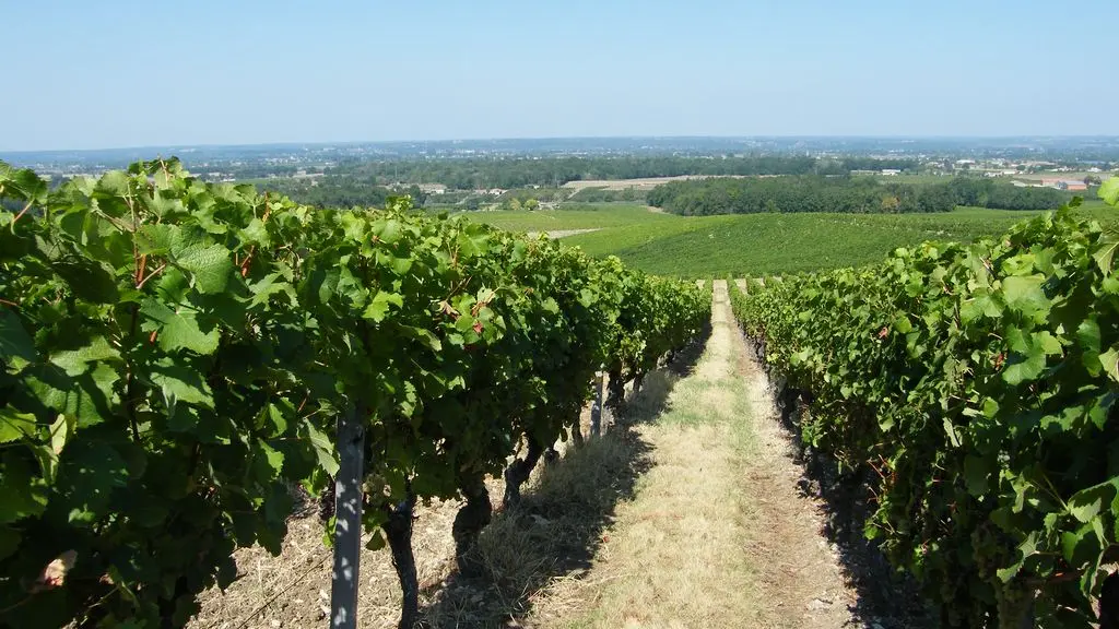 DOMAINE DE MONTLONG (3)