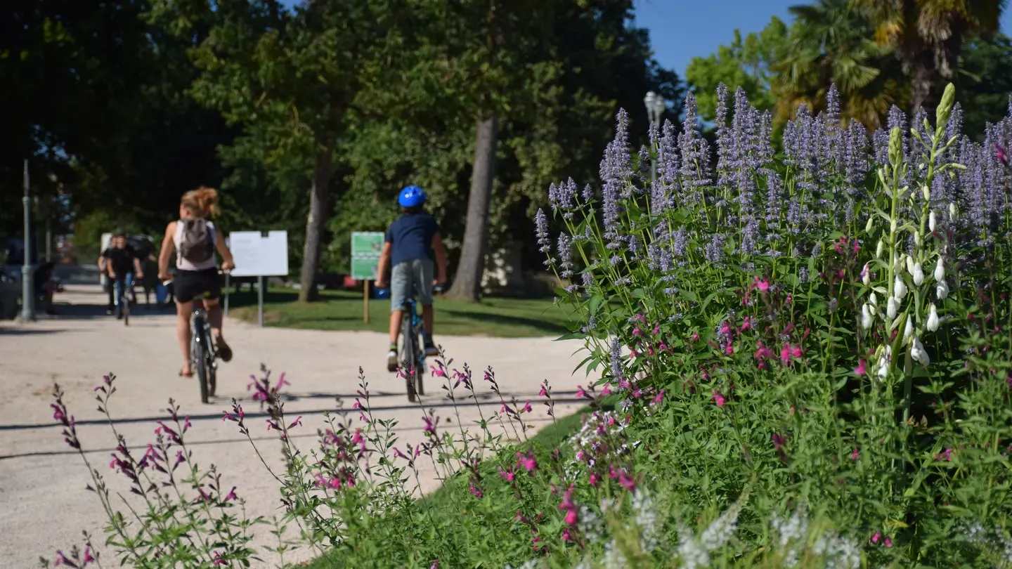 Parc Beaumont - Pau - Vélos