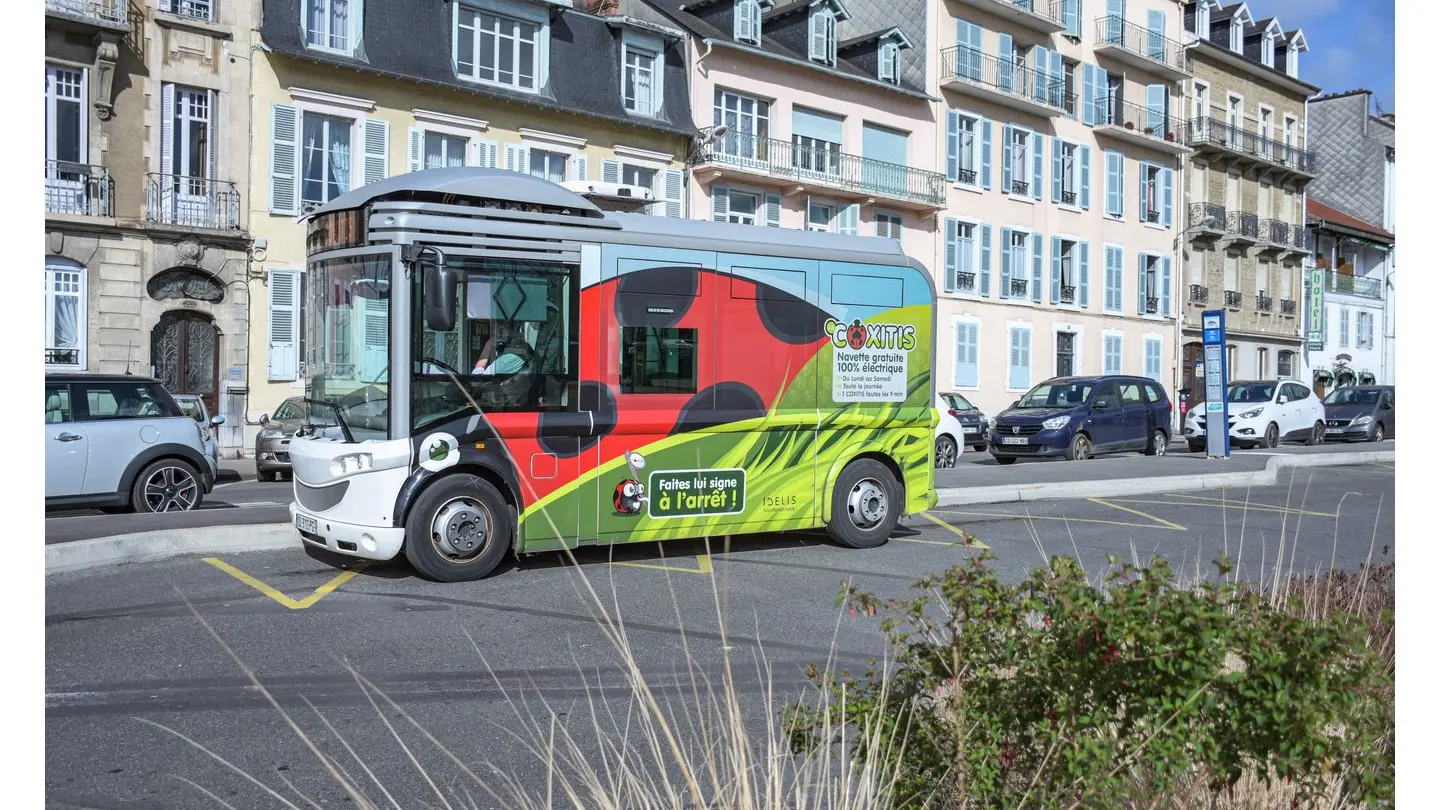 DSC_4804Coxitis - Ville de Pau