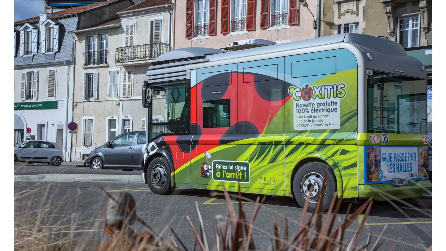 DSC_4805Coxitis - Ville de Pau