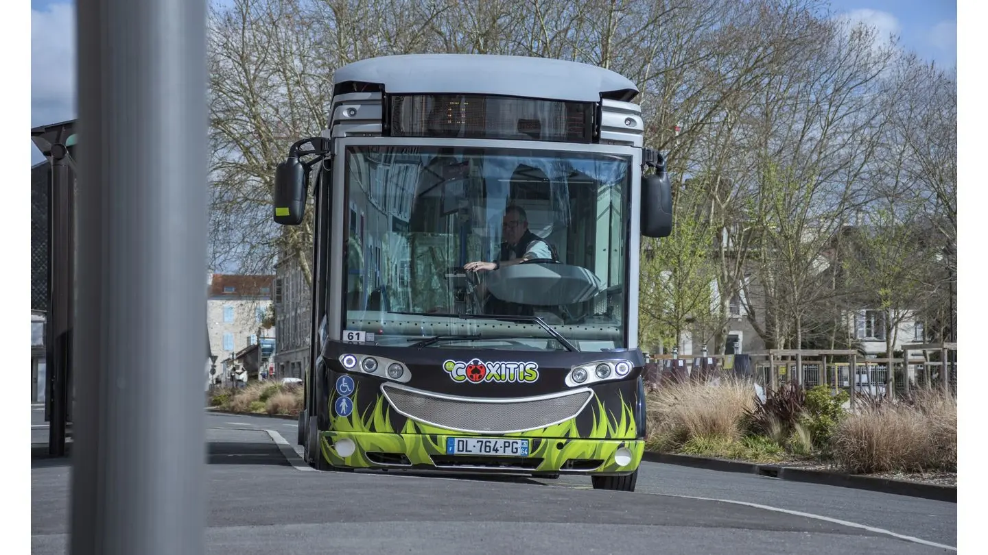 DSC_4821Coxitis - Ville de Pau