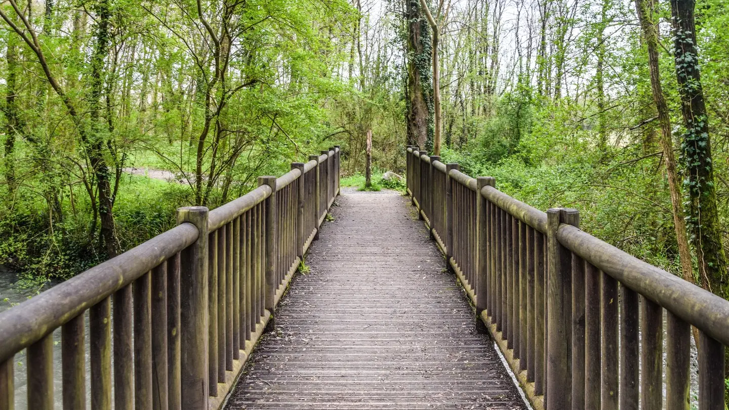 Lescar, cité nature - Lac des carolins